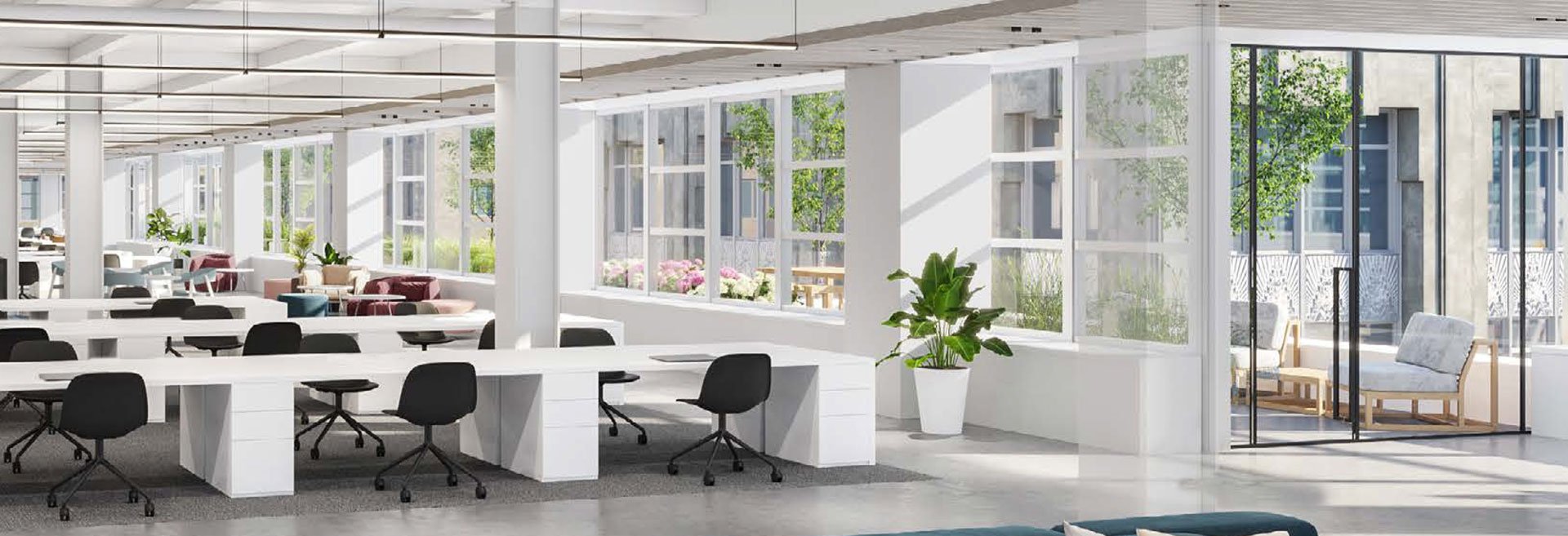 80-Pine-Next-Generation-Workplace